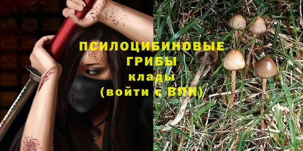 PSILOCYBIN Кодинск