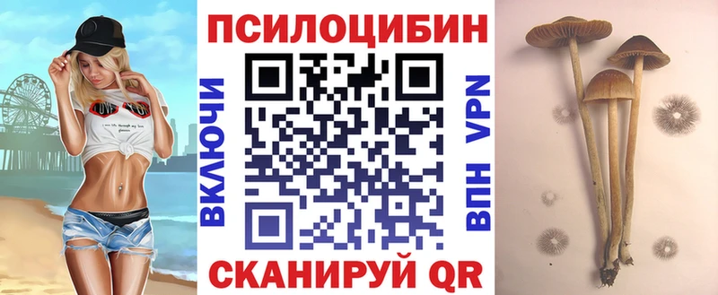 что такое наркотик  Краснослободск  Псилоцибиновые грибы прущие грибы 